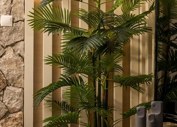 Casa Sym 公寓 法里拉基